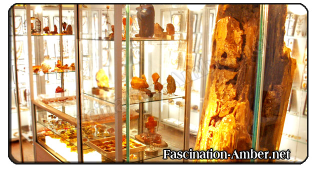 Amber Museum & Shop