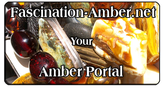 Ambera.net